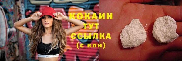сатива Аркадак
