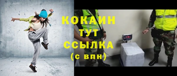 сатива Аркадак