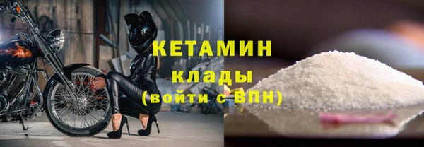 сатива Аркадак