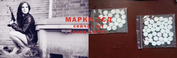 сатива Аркадак