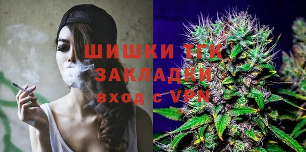 сатива Аркадак