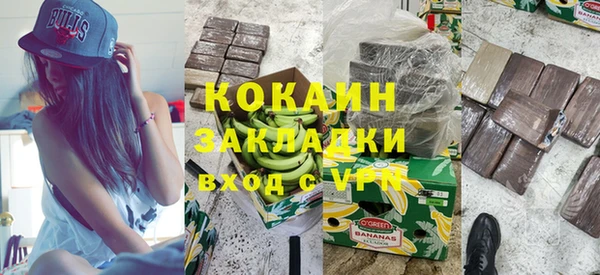 сатива Аркадак