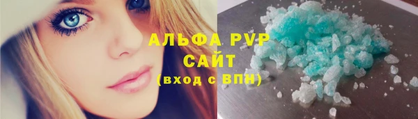 сатива Аркадак