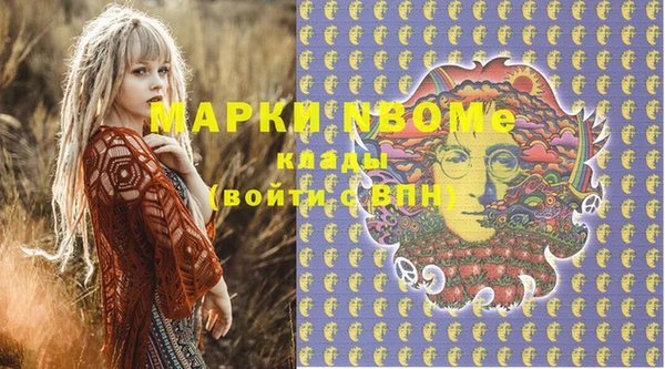 сатива Аркадак