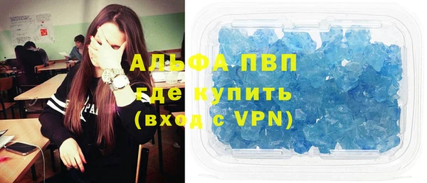 сатива Аркадак