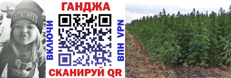 Бошки марихуана марихуана  Судак 